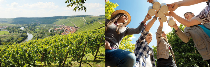 Vinregionen Franken