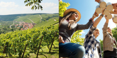 Vinregionen Franken