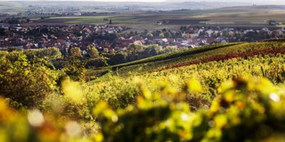 Vinregionen Rheinhessen (Rheinland-Pfalz) med utsikt över Bechtolsheim